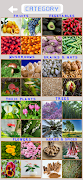 Plants Trivia スクリーンショット 1