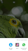 Parrot Wallpapers 스크린샷 3