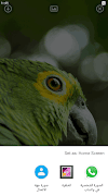 Parrot Wallpapers imagem de tela 3