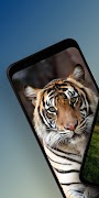 Nature Wallpapers screenshot 4