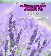 สวัสดีตอนเช้าตามวัน Screenshot 4