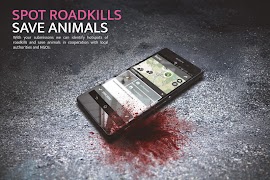 Roadkill | SPOTTERON screenshot 2