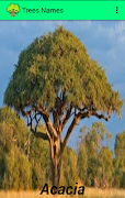 Trees Names Ekran Görüntüsü 1