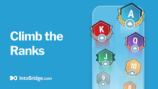 برنامه‌نما IntoBridge عکس از صفحه