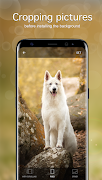 Dog Wallpapers PRO screenshot 3