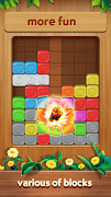 Block Blast ảnh chụp màn hình 4