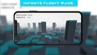 Infinite Flight screenshot 2