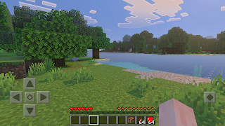 Heart Container Mod Minecraft screenshot 1