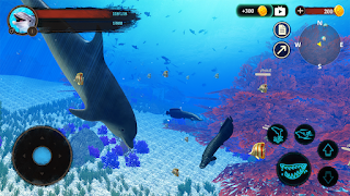 The Dolphin ภาพหน้าจอ 4