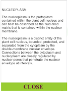 ANATOMY 3D - Human, Animal, Pl 截圖 6