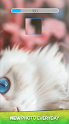 Picture Perfect screenshot 4