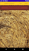 a needle in a haystack 스크린샷 1