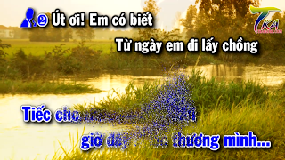 TKaraoke screenshot 5