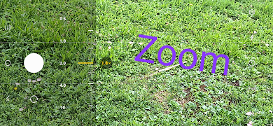 Camscroll ảnh chụp màn hình 2