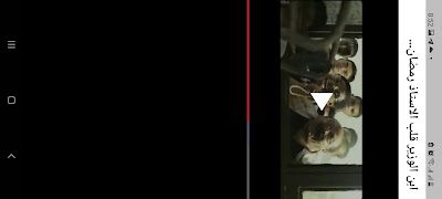 رمضان مبروك ابوالعلمين بدون نت screenshot 6