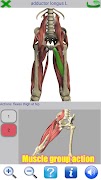 Visual Anatomy 2 screenshot 3