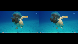 SBS 3D Player gönderen