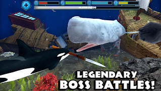 Orca Simulator screenshot 3
