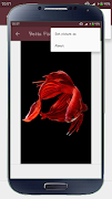 Betta Fish Wallpapers screenshot 4