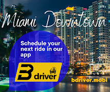 Bdriver - Rider ảnh chụp màn hình 6