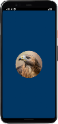 پوستر Hawk Sounds