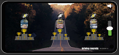 Driving Secrets screenshot 3