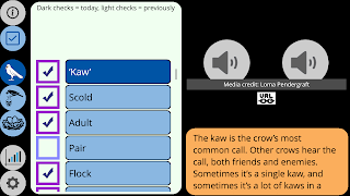 Crow Scientist اسکرین شاٹ 2