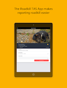 Roadkill TAS 스크린샷 7