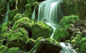 Waterfall Jigsaw Puzzles captura de pantalla 5