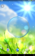 Spring Live Wallpaper screenshot 2