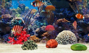 Fish Farm poster