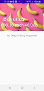 OneLink Simulator Screenshot 2