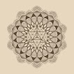 Alchemy with Taylor Sol