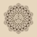 Alchemy with Taylor Sol APK