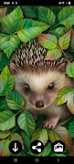 Hedgehog Wallpapers পোস্টার