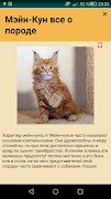 Maine Coon স্ক্রিনশট 1