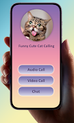 Cat Video Call Prank ภาพหน้าจอ 1