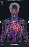 Circulatory System Anatomy 스크린샷 2