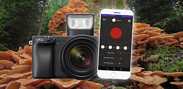 Alpha Focus Bracketing スクリーンショット 2