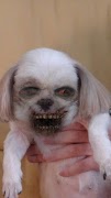ZombieBooth 截圖 5