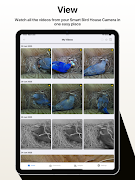 Nest Box Live স্ক্রিনশট 7