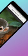 Jungle background скриншот 1