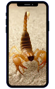 Scorpion Wallpapers screenshot 3