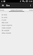 French Verbs poster