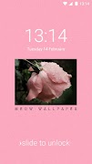 AppLock Theme Pink Rose screenshot 6