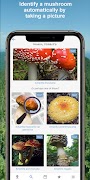 Mushroom Identify - Automatic  포스터