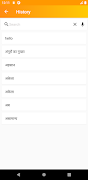 Hindi Dictionary ภาพหน้าจอ 7