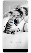 Tela de bloqueio de gatos imagem de tela 3