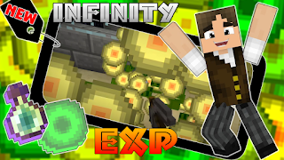 Infinity experience mod Cartaz