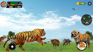 Tiger Simulator Animals Games screenshot 3